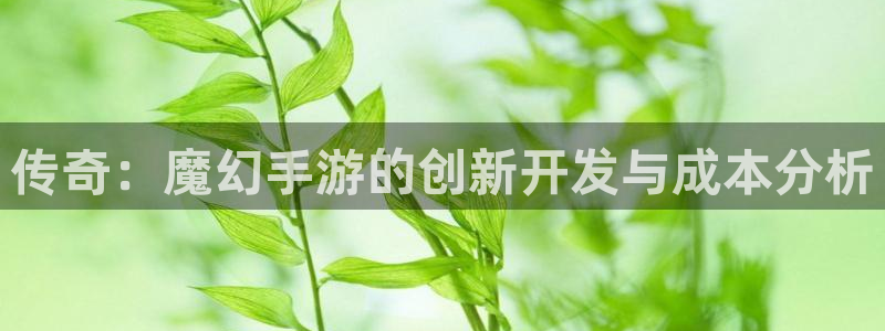 庄闲游戏网站：传奇：魔幻手游的创新开发与成本分析