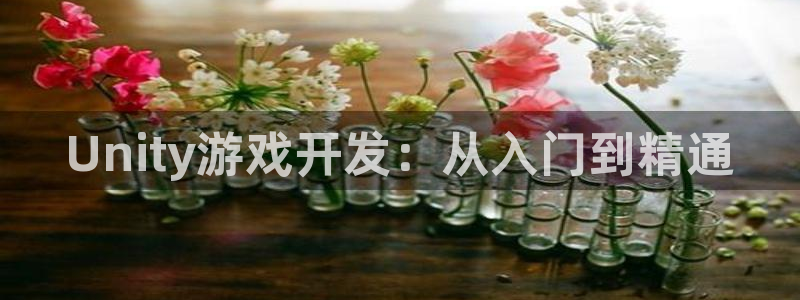 庄闲游戏名称：Unity游戏开发：从入门到精通