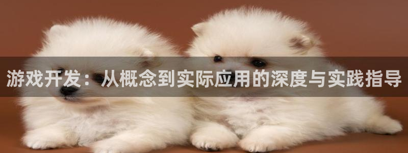 庄闲游戏平台怎么样：游戏开发：从概念到实际应用的深度与实践指