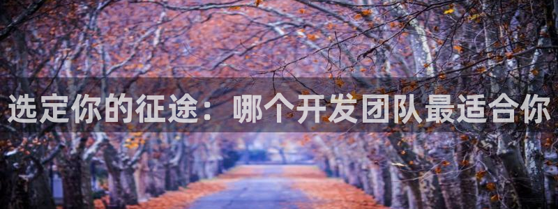 庄闲计划软件：选定你的征途：哪个开发团队最适合你