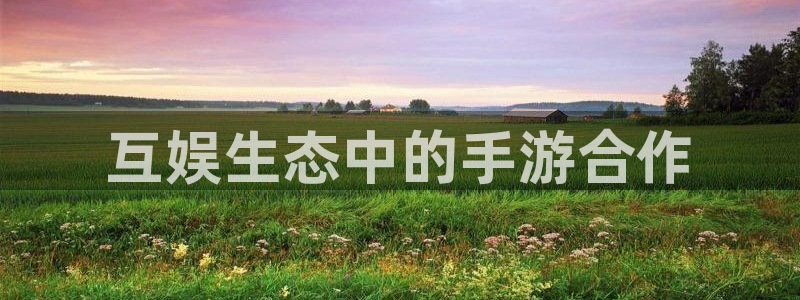 庄闲游戏app：互娱生态中的手游合作
