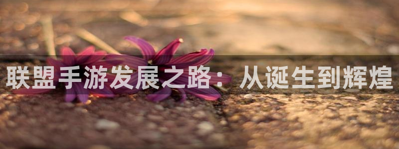 玩庄闲如何运用枝巧蠃钱?：联盟手游发展之路：从诞生到辉煌