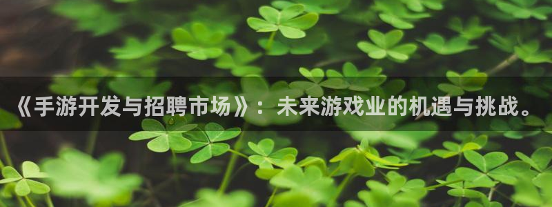 庄闲是什么牌：《手游开发与招聘市场》：未来游戏业的机遇与挑战