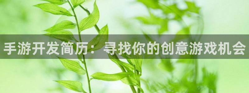 庄闲玩法叫：手游开发简历：寻找你的创意游戏机会