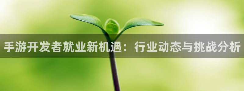 庄闲游戏稳赢规则：手游开发者就业新机遇：行业动态与挑战分析