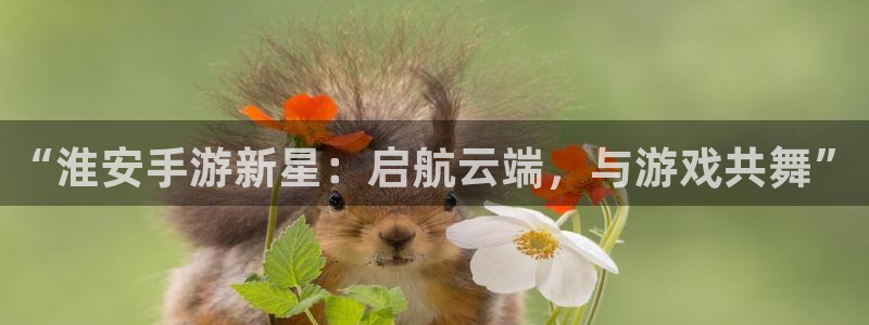 庄闲游戏规则和玩法：“淮安手游新星：启航云端，与游戏共舞”