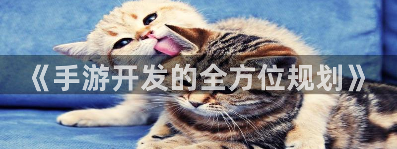 庄闲和游戏规则：《手游开发的全方位规划》
