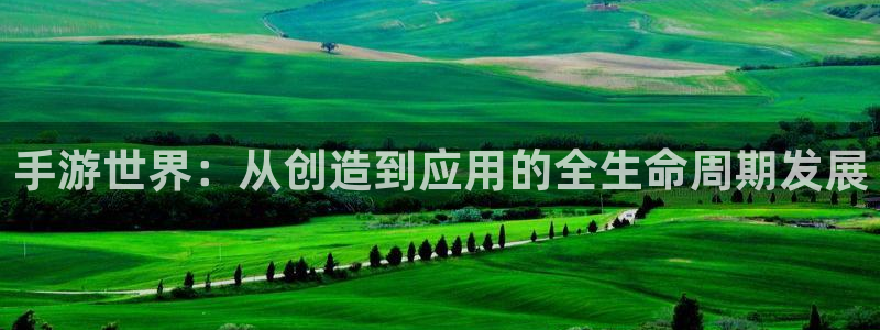 庄闲游戏买对面：手游世界：从创造到应用的全生命周期发展