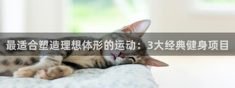 球客岛：最适合塑造理想体形的运动：3大经典健身项目