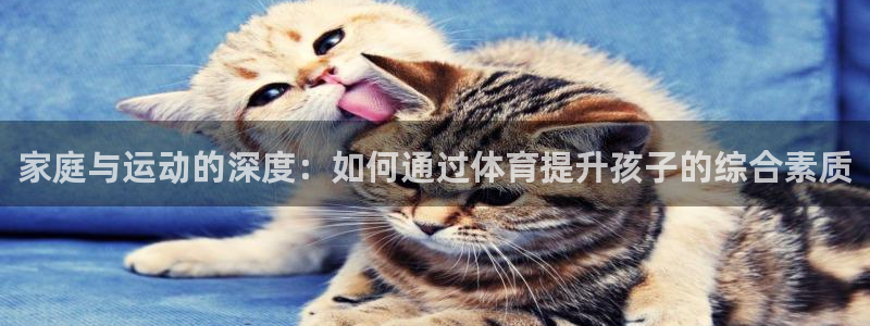 球客岛：家庭与运动的深度：如何通过体育提升孩子的综合素质