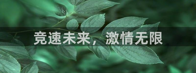 球客岛：竞速未来，激情无限
