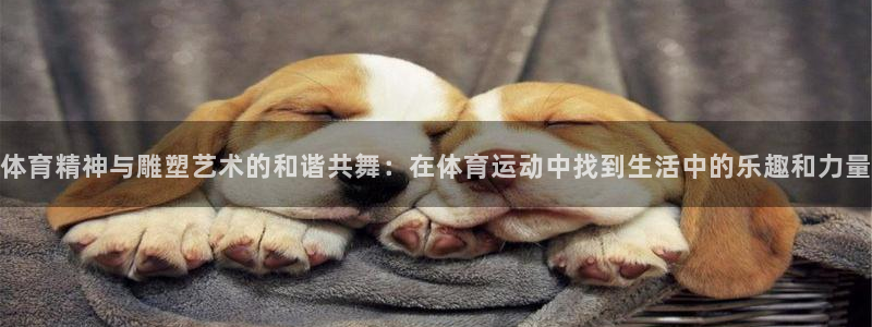 球客岛：体育精神与雕塑艺术的和谐共舞：在体育运动中找到生活中的乐趣和力量
