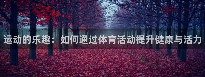 球客岛：运动的乐趣：如何通过体育活动提升健康与活力