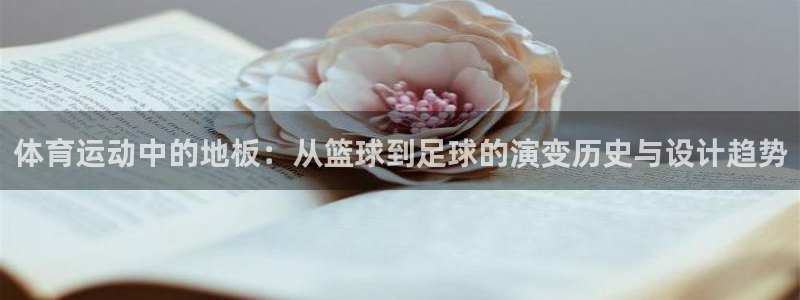 球客岛：体育运动中的地板：从篮球到足球的演变历史与设计趋势