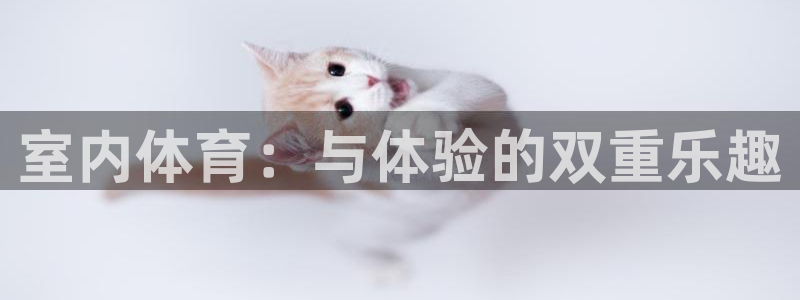 球客岛：室内体育：与体验的双重乐趣