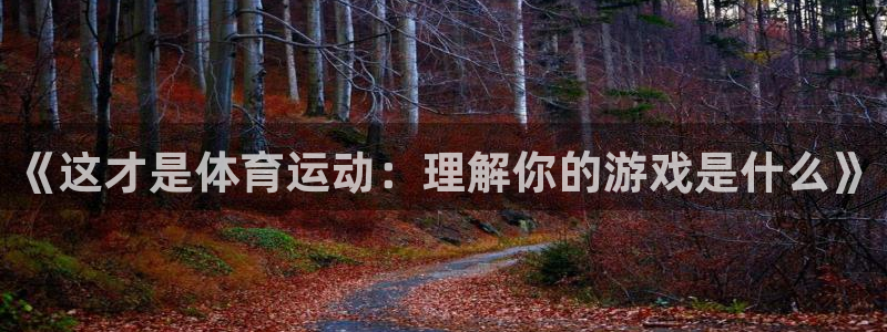球客岛：《这才是体育运动：理解你的游戏是什么》