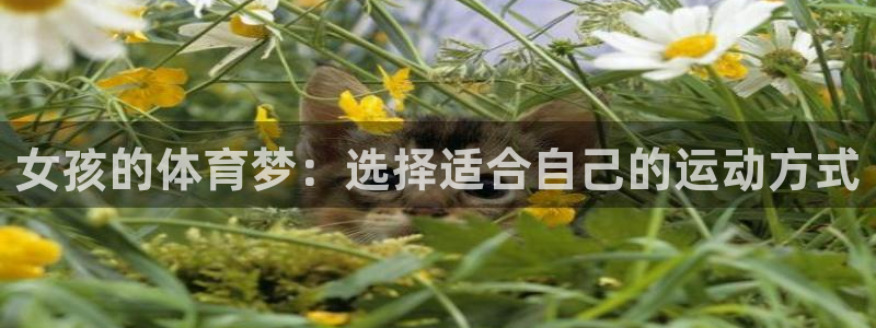 球客岛：女孩的体育梦：选择适合自己的运动方式