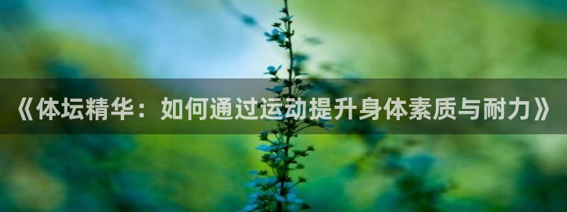 球客岛：《体坛精华：如何通过运动提升身体素质与耐力》