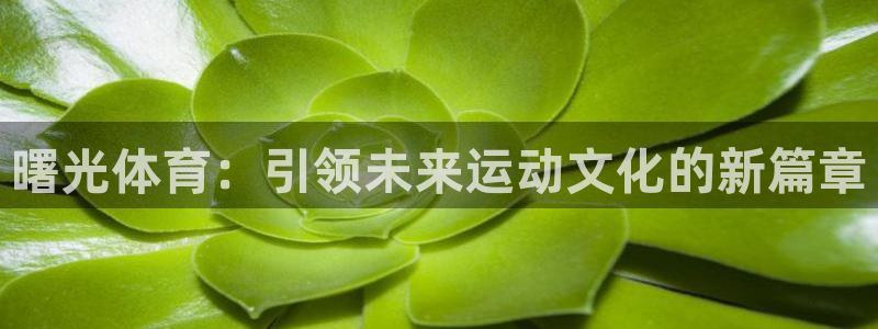 球客岛：曙光体育：引领未来运动文化的新篇章