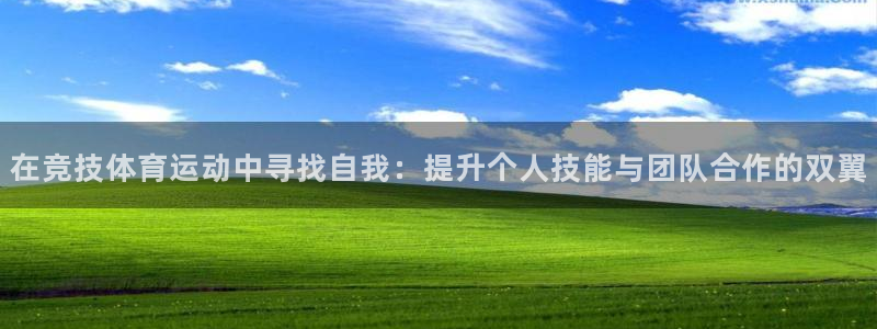 球客岛：在竞技体育运动中寻找自我：提升个人技能与团队合作的双翼