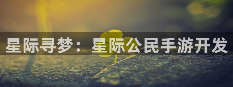 神奇的公式庄闲庄庄闲怎么使用：星际寻梦：星际公民手游开发